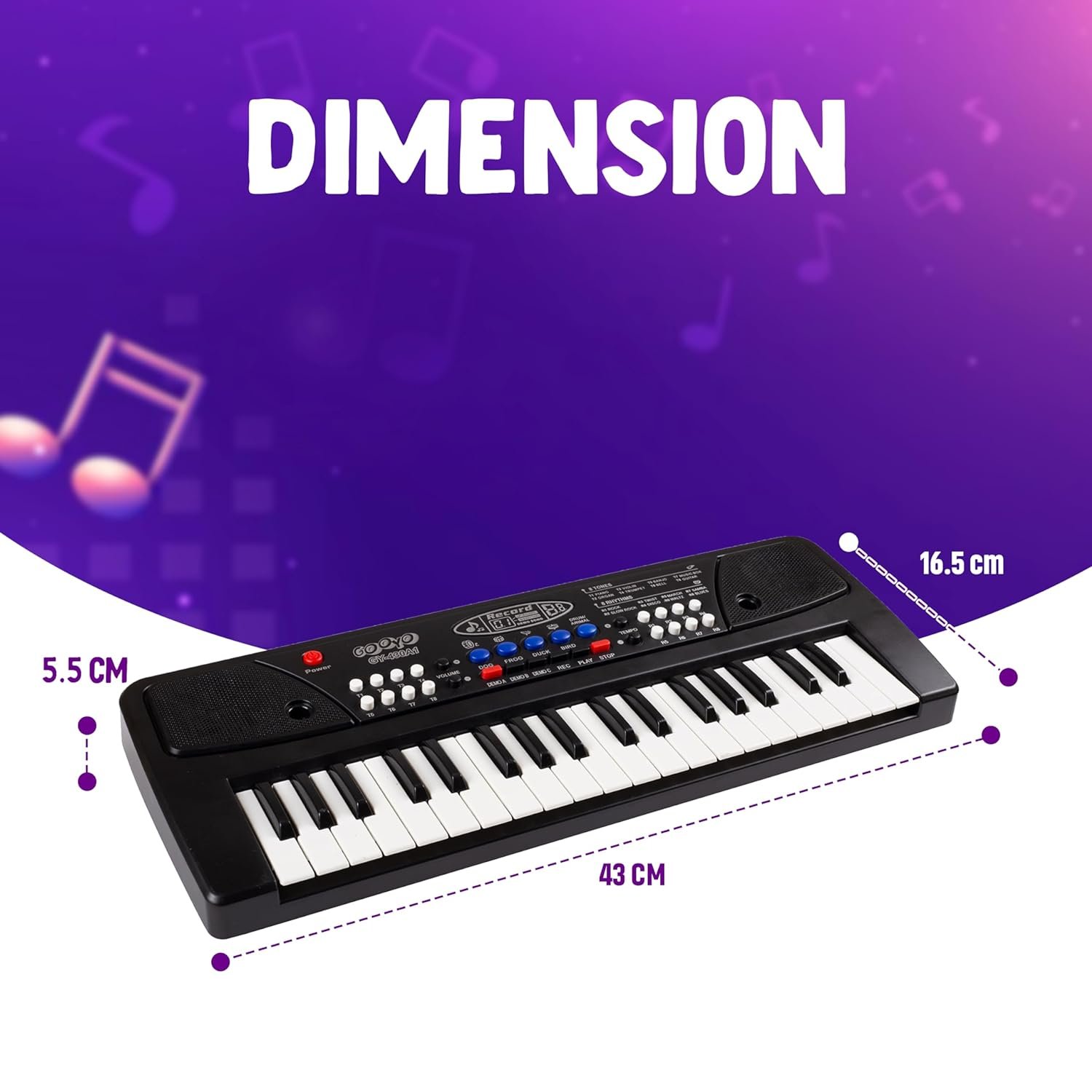 Portable Musical Piano Keyboard with Microphone