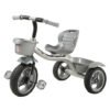 ToyZoy Tricycle TZ-591 For Kids